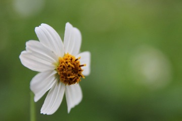 IMG_9207.JPG