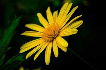 7C2D7BF1-0E47-44E5-8924-BE55B9DC6D50/L0/001