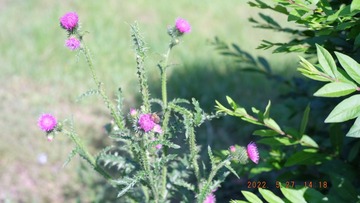 5F52816A-E2C5-46F0-8571-609644E14687/L0/001
