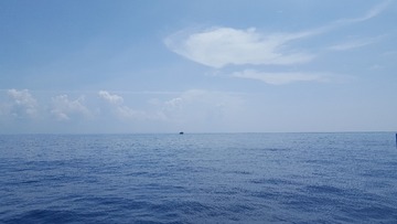 288960