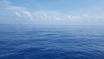 306425
