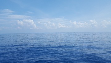 288963