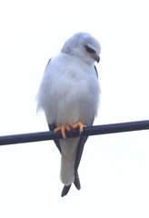 709587
