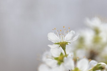 726609