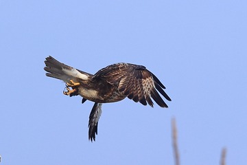 710396