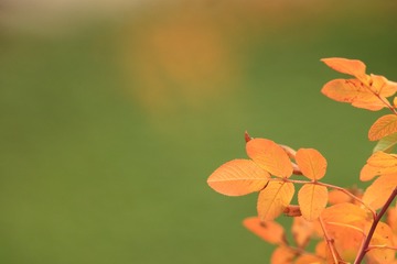 709025