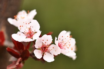 749850