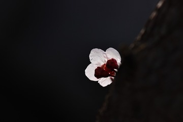 750328