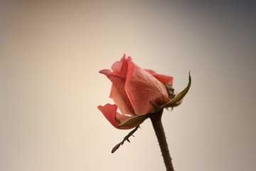 710378