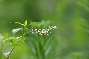 702616