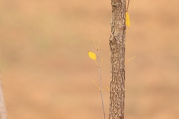 709680