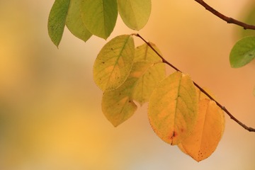 709028