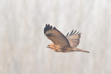 710976