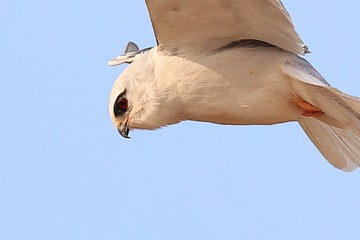 710555