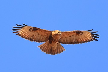 710913