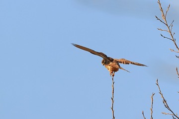 709843