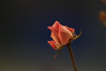 710377