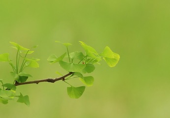 695654