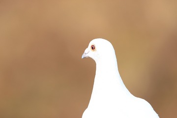 709666