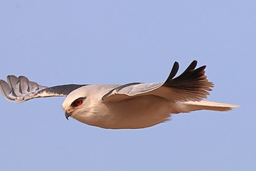 710558