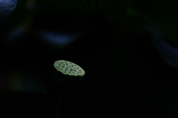 704958