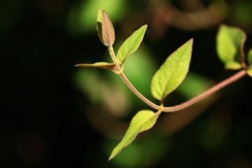 734612