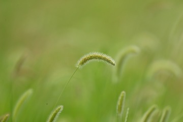 704018