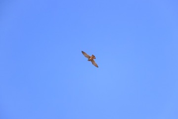 707681