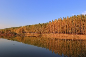 707967