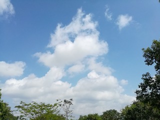 10856212