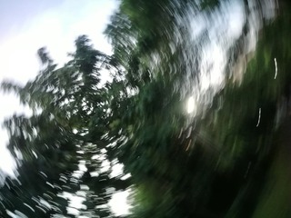 10446980