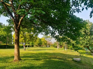 10816543