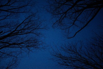 0096595B-DB9B-4457-BE5E-664560295713/L0/001