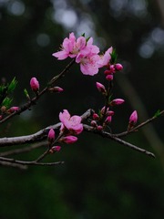 30F7B750-A616-4C9B-9D00-49121973C0C0/L0/001