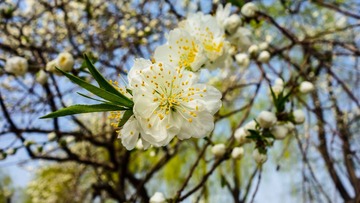 DSC00607.jpg