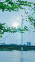 34E742CA-1014-41AF-84EC-C3719B808729/L0/001