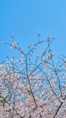 47DC20FB-F0F3-44C5-84ED-6344BD110FEF/L0/001