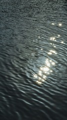 A86E577C-2F25-4492-AB11-5993E4EA82D8/L0/001