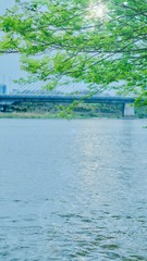 F1CDC18D-2487-4220-9E54-23B70D5CEAEC/L0/001