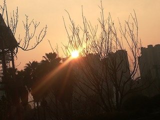 1207290