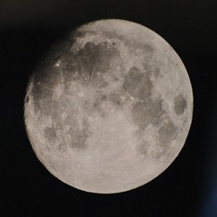 130883