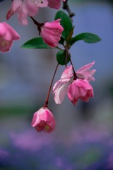 CC270227-1469-47BF-B8EF-23823F0CBE46/L0/001