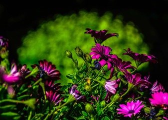 7E52E9BE-441D-4F2E-ADFF-580B4DEB79E9/L0/001