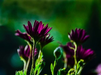 57A6152C-8384-4A2B-A74E-96EDAE15AEBB/L0/001