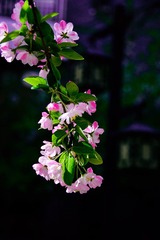 87F0892C-7090-4E28-9257-19BA20F13D62/L0/001