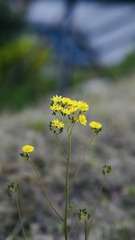 4117D61D-6341-47C0-8A6D-2FD14EF4FA31/L0/001