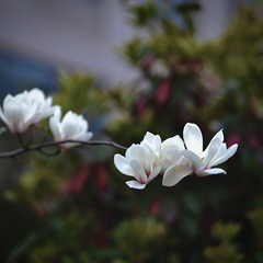 C524021D-D6F7-49F8-87B1-AB121BDFC648/L0/001