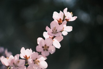 365647