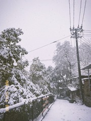 B10A857F-50C9-4459-B7E9-F5E07038EC69/L0/001