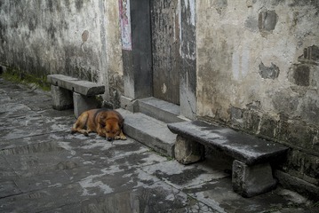 DSCF0483